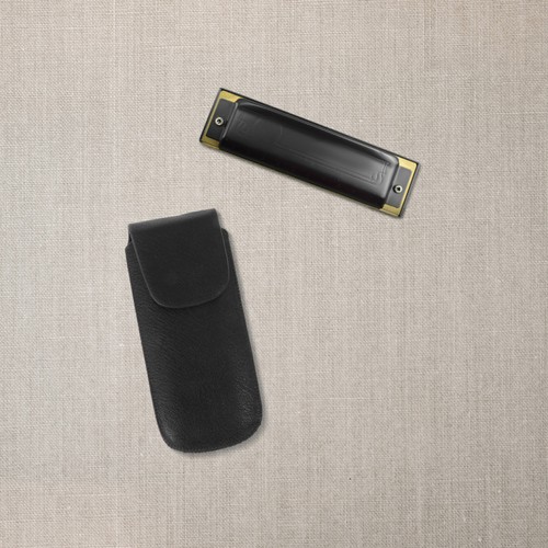 Harmonica carrying case - carrying,